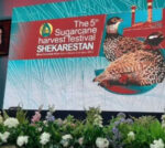 خوزستان “یوسف ایران” است/ نیشکر، استعاره‌ای از آینده شیرین